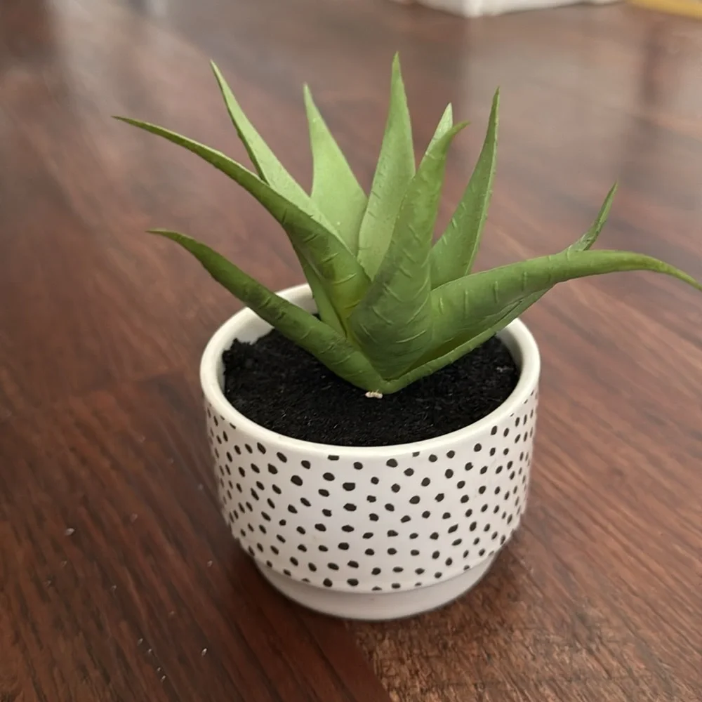 Design Group Faux Plant Size OS Color White Green Black